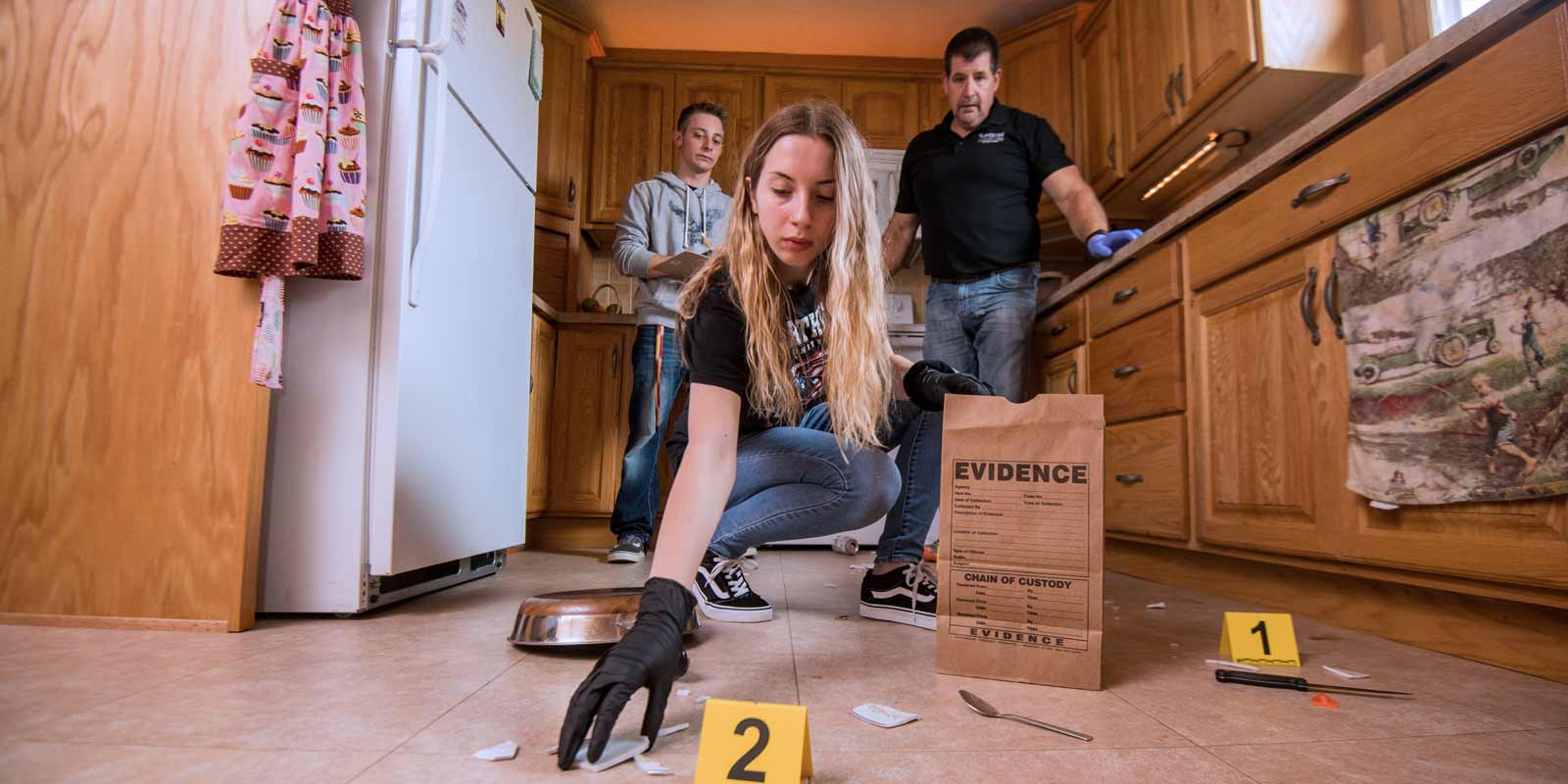 Law, Public Safety, Corrections and Security Hero Image
