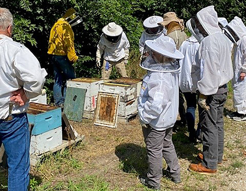 Northeast Cosponsors Event to Share Knowledge on Bees