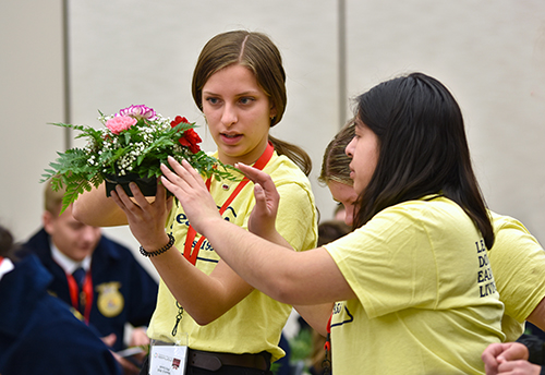 Over 1,500 students compete in FFA Ag Education Contest at Northeast