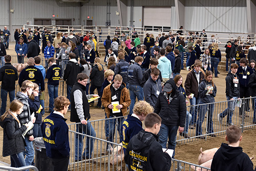 Nearly 600 students compete in district livestock judging contest at Northeast 