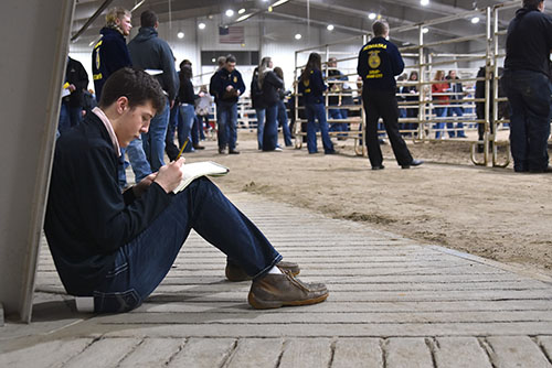 Nearly 600 students compete in district livestock judging contest at Northeast 