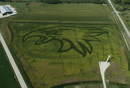 Precision Technology program creates field mural on college farm