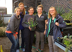 Special topics herbal class complements horticulture curriculum at Northeast 