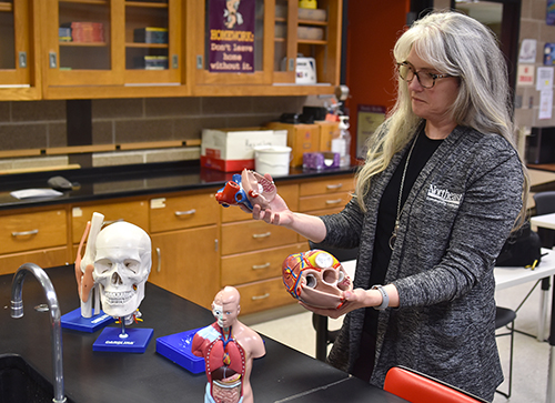 Northeast biology instructor wins anatomy models for her classroom