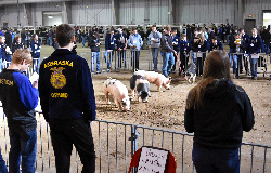 500 high school students participate in FFA contest at Northeast