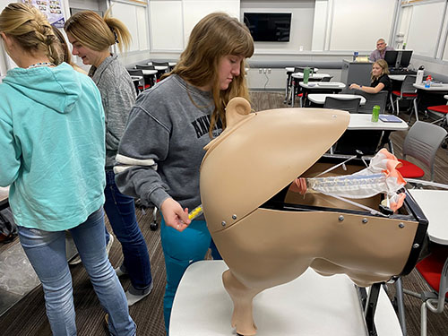 Nebraska Pork Producers provide swine simulators for Northeast 