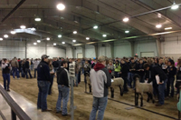 Northeast holds 34th Livestock Classic